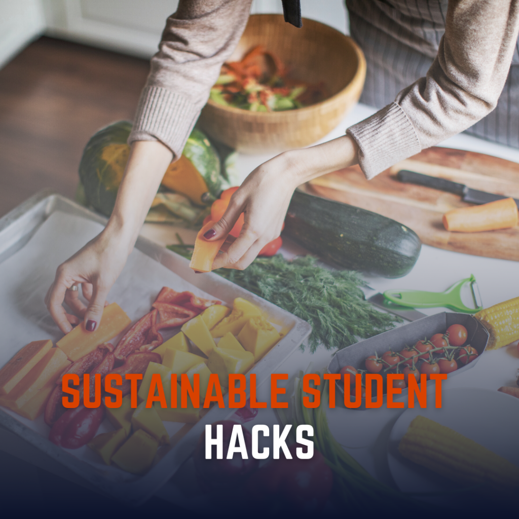 sustainable-student-hacks