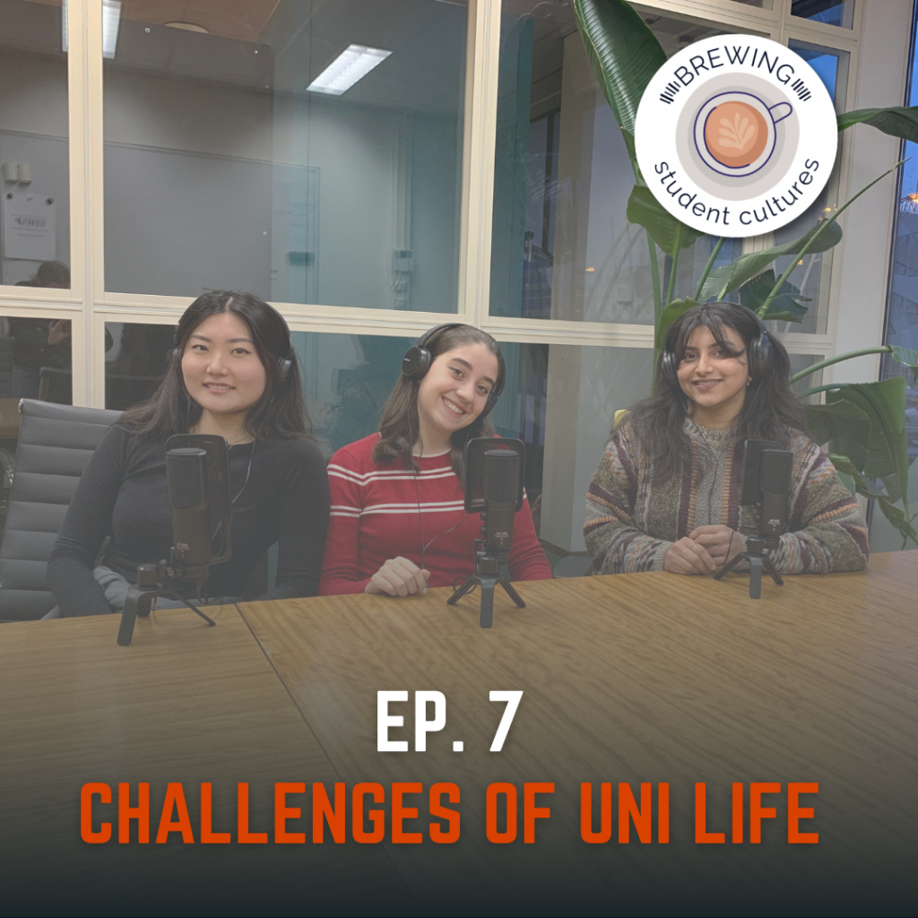challenges of uni life in the Netherlands
